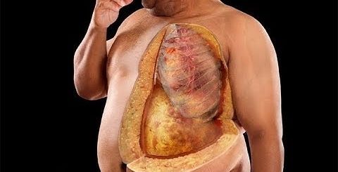 Диета При Ожирение Внутренних Органов