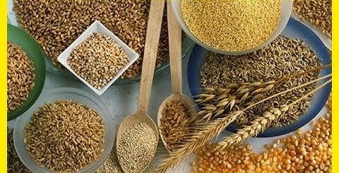 Пшеничная Диета Для Похудения