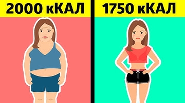 Как Правильно Рассчитать Калории Чтобы Похудеть