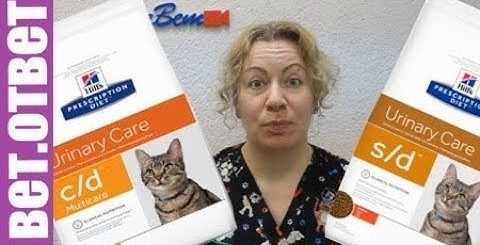 Ветеринарная Диета Корма Для Кошек