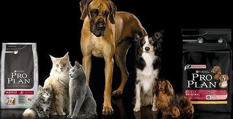 Проплан Ветеринарная Диета Для Собак