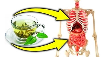 Правда Что Зеленый Чай Помогает Похудеть